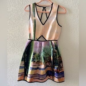 ALICE MCCALL Desert Cactus Old Mexico V Neck Women’s Dress Size 4